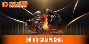Đá gà Campuchia