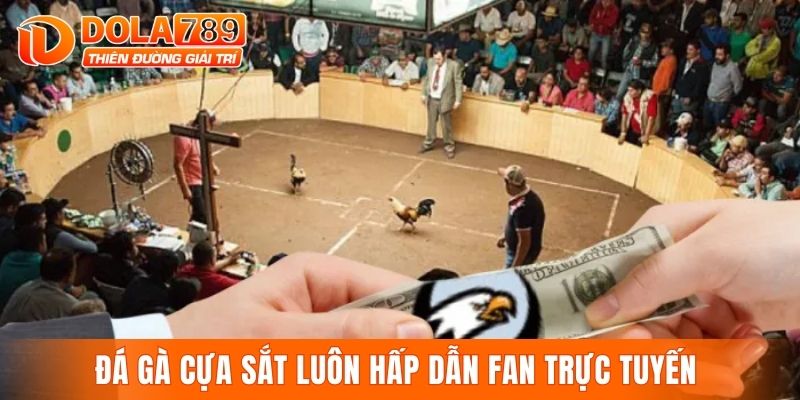 Đá gà cựa sắt luôn hấp dẫn fan trực tuyến 