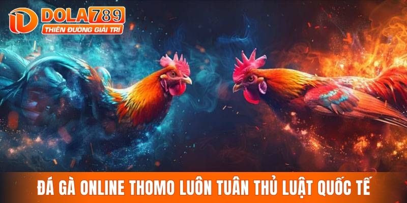 Đá gà online thomo luôn tuân thủ luật quốc tế