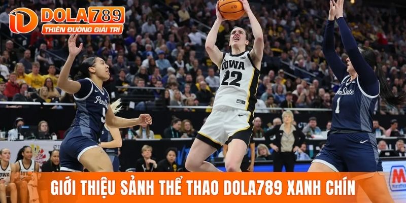 Giới thiệu sảnh thể thao DOLA789 xanh chín