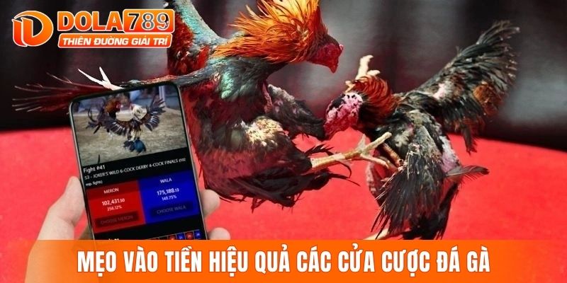 Mẹo vào tiền hiệu quả các cửa cược đá gà