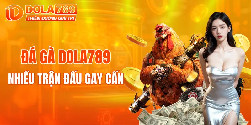Nhiều trận đấu gay cấn ở Đá gà DOLA789