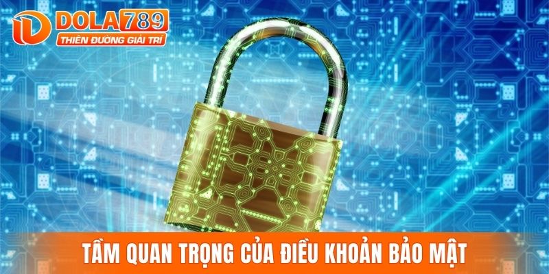 Tầm quan trọng của điều khoản bảo mật đối với thành viên tại DOLA789